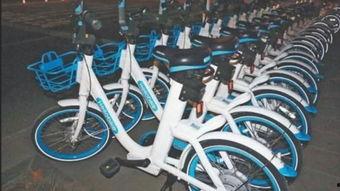 十七岁的单车,十七岁的梦想与成长  第2张