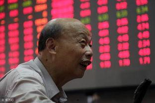 大多头之股民的名义,多头股民如何引领市场风潮  第1张