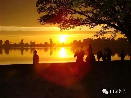 不再许你春朝,回忆与展望  第2张