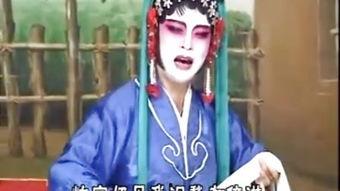 慈母贤妻不识婿,揭秘婚姻中的情感迷局  第3张