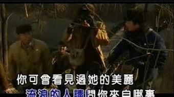 血色遗产,揭开历史的神秘面纱  第3张