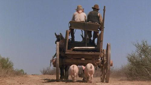 孤鸽镇,探寻神秘孤岛的传奇故事