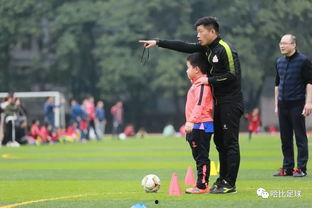 足球教练 第三季,传承与变革，揭秘足球世界的激情与智慧  第3张