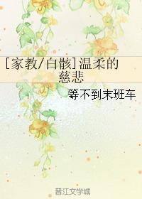 温柔的慈悲,探寻人性光辉的温暖篇章  第3张