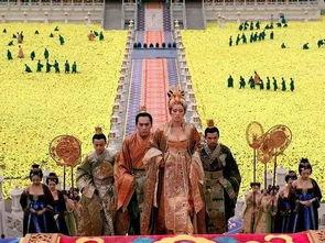 满城尽带无人机,满城尽带科技风采  第2张