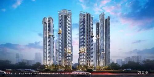 海德 ???,海德心理学视角下的社会互动与自我认知  第2张