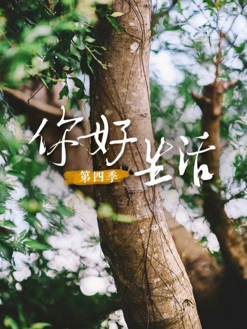 主厨的荣耀·中餐季  第2张