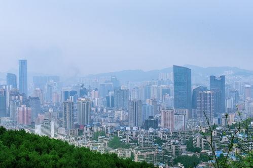 我和自然 心有灵犀 第五季,第五季探寻人与自然的和谐交响  第2张